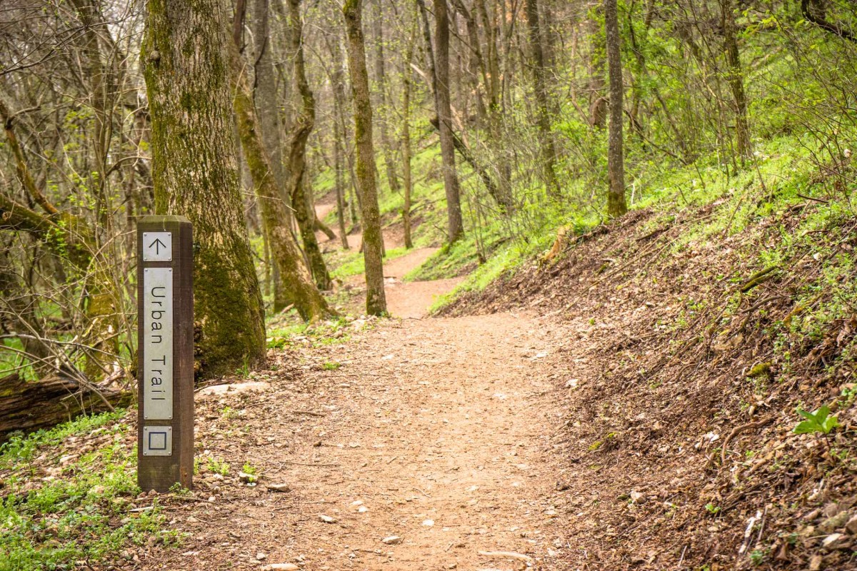 mountain biking mtb singletrack trails