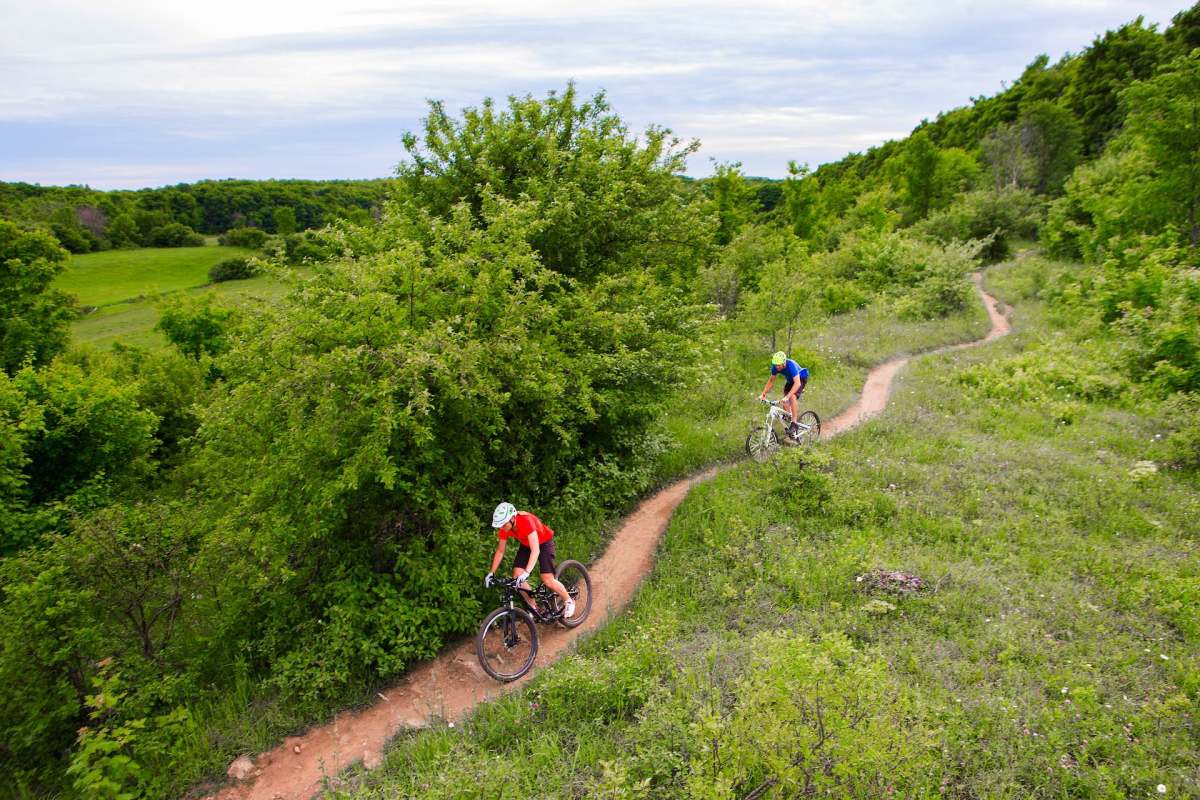 mountain biking trail singletrack