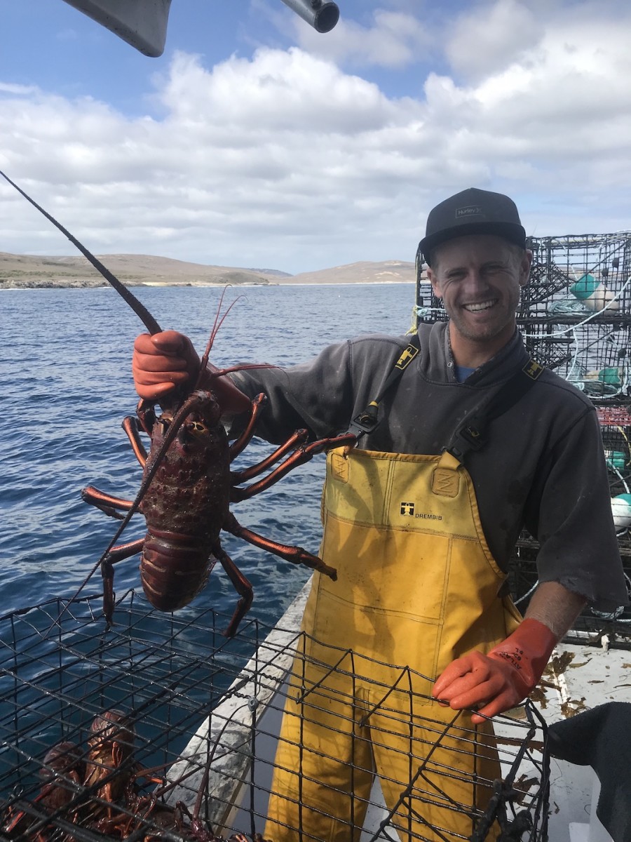 Becker crabs channel islands