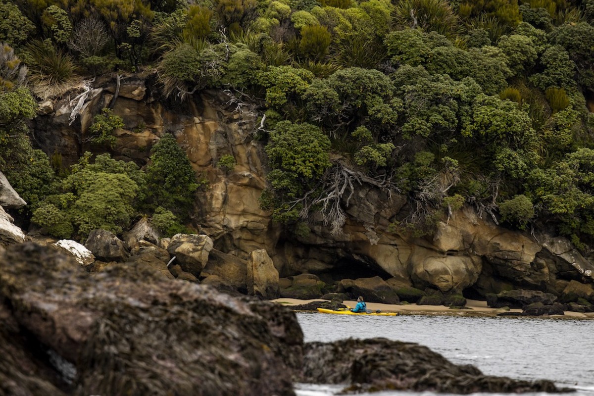 Stewart Island New Zealand sea kayak expedition