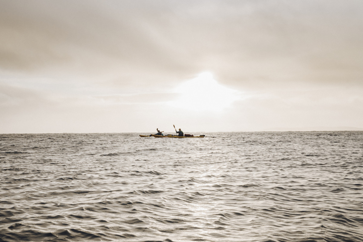 Stewart Island New Zealand sea kayak expedition