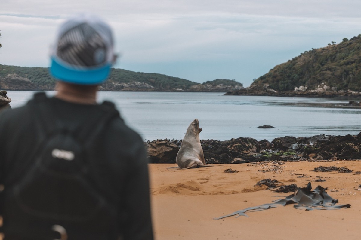 Stewart Island New Zealand sea kayak expedition