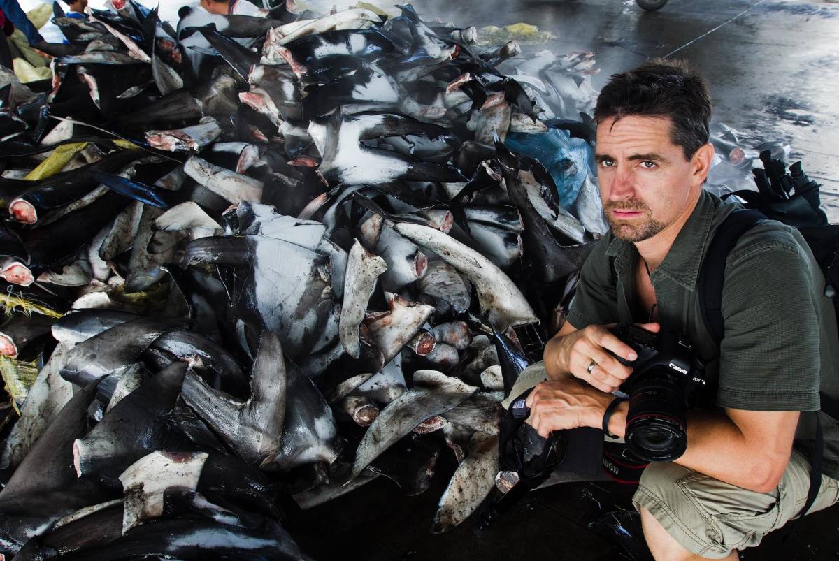 Shawn Heinrichs ocean conservation shark fins