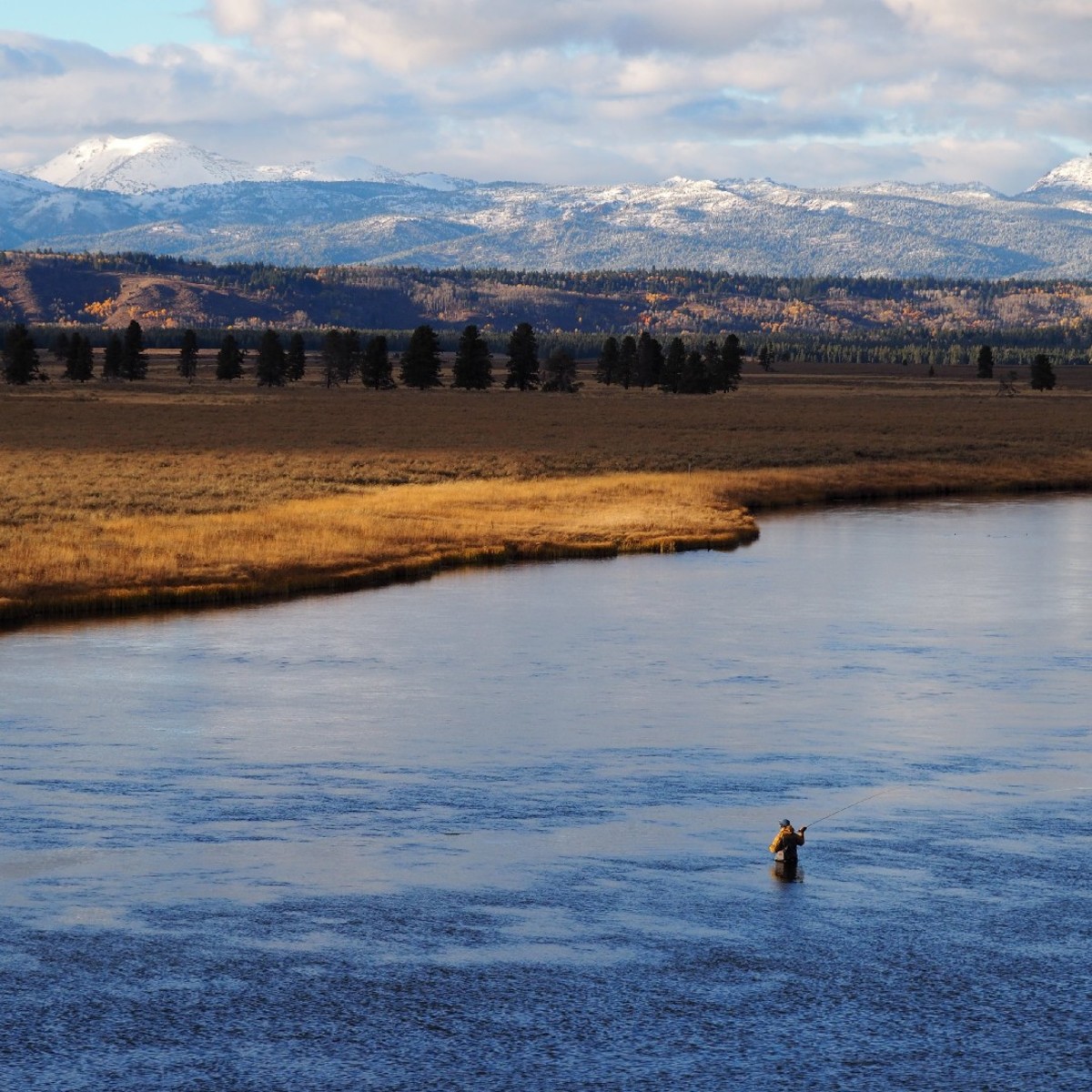 Honing the craft of fly-fishing with School of Trout.