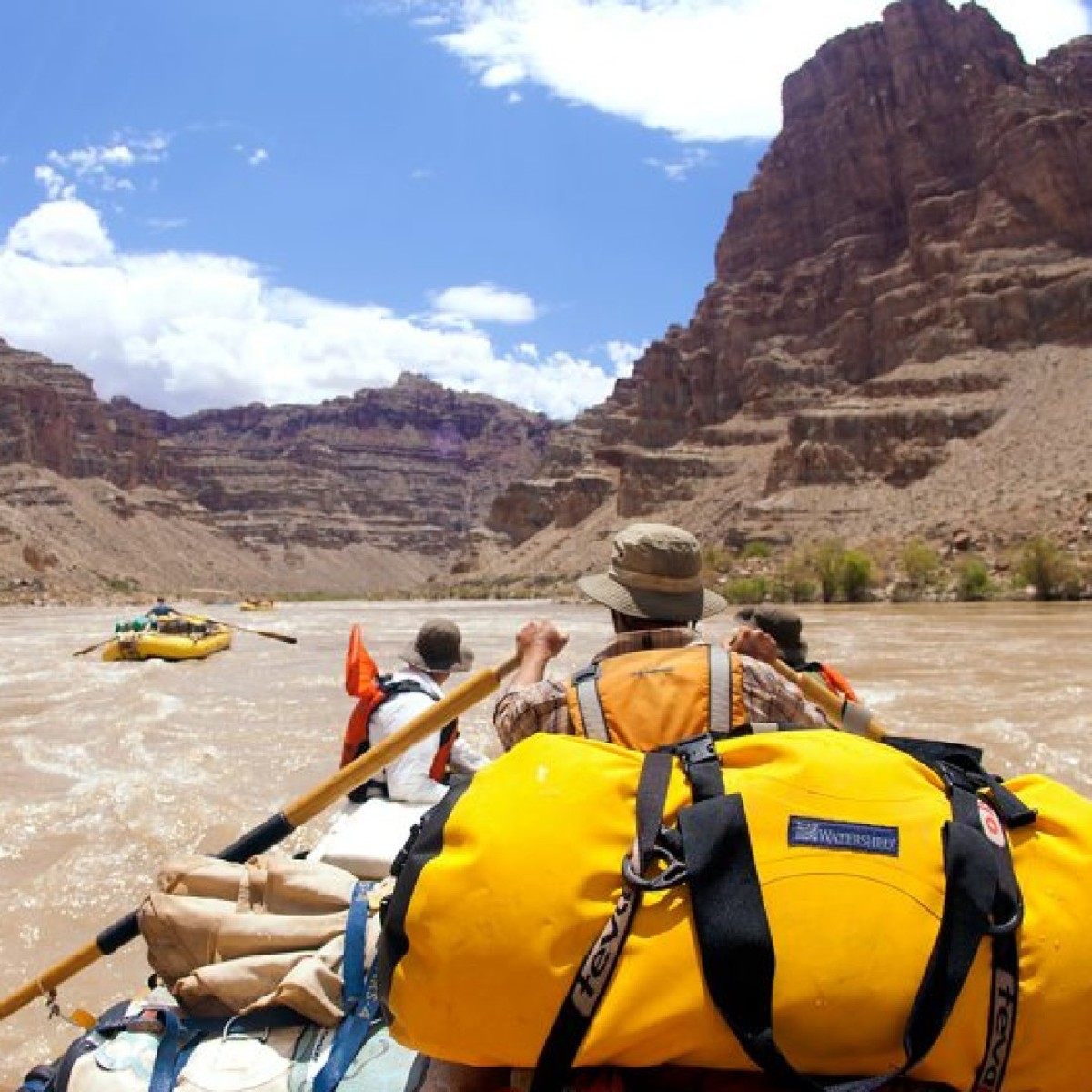 OARS Whitewater rafting rowing clinic along Colorado River.