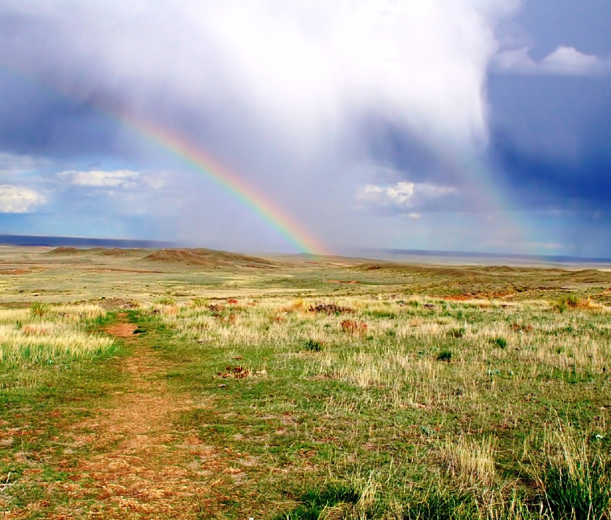 Pawnee National Grassland