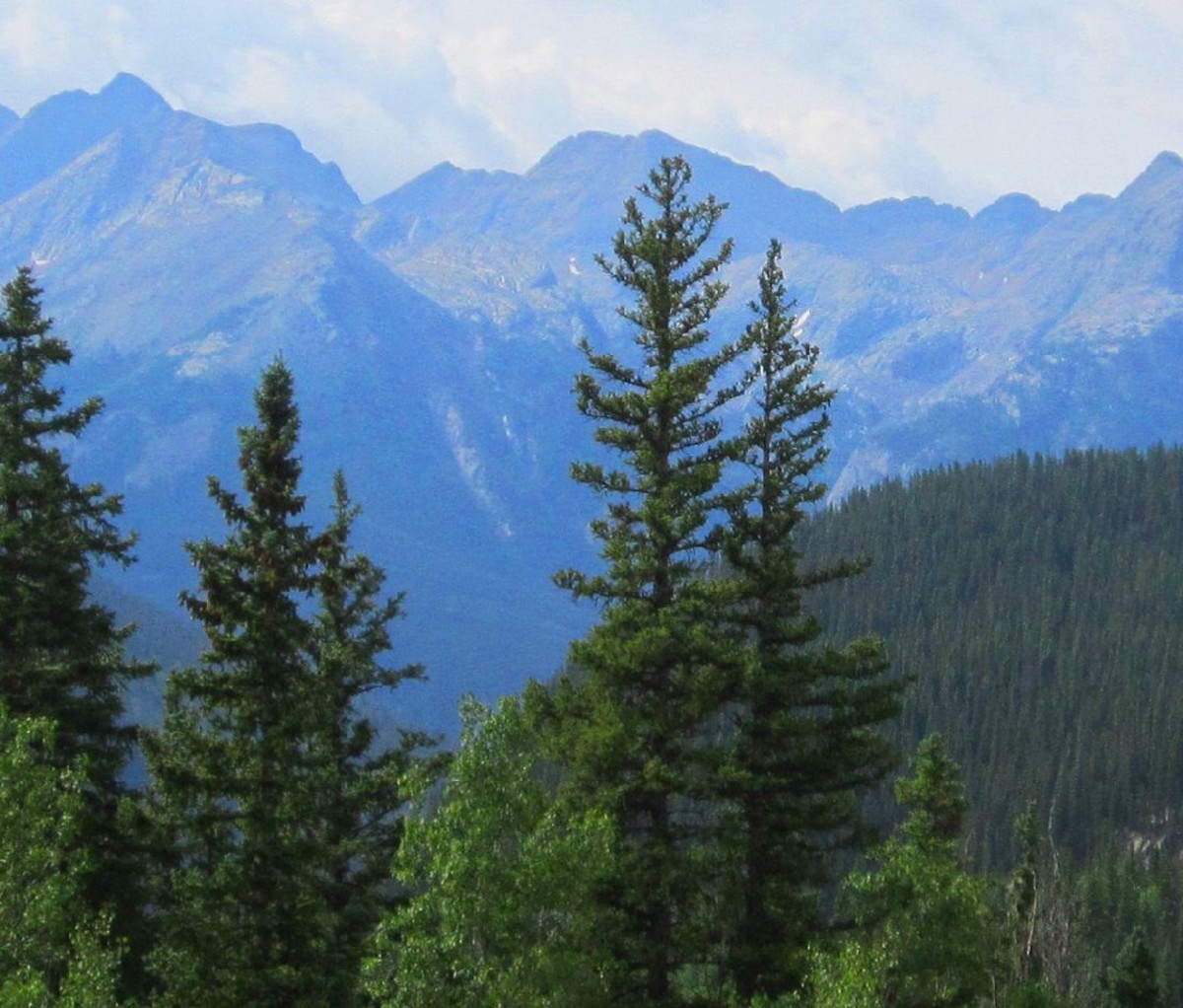 Rockies in the background of San Juan National Forest