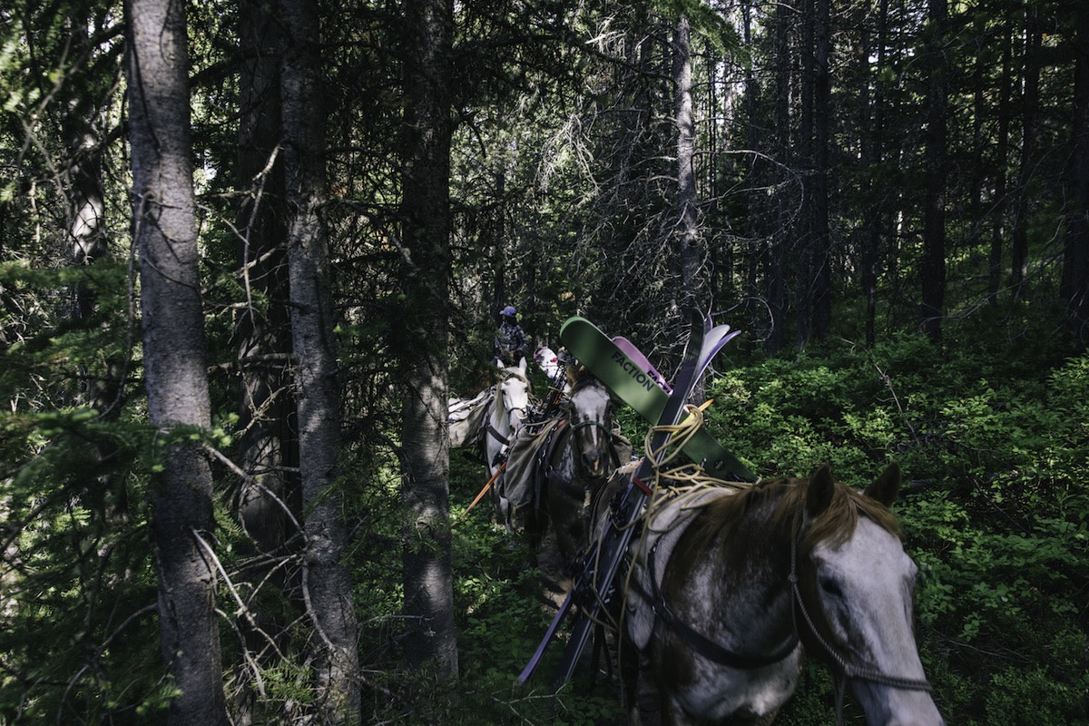 horse pack train