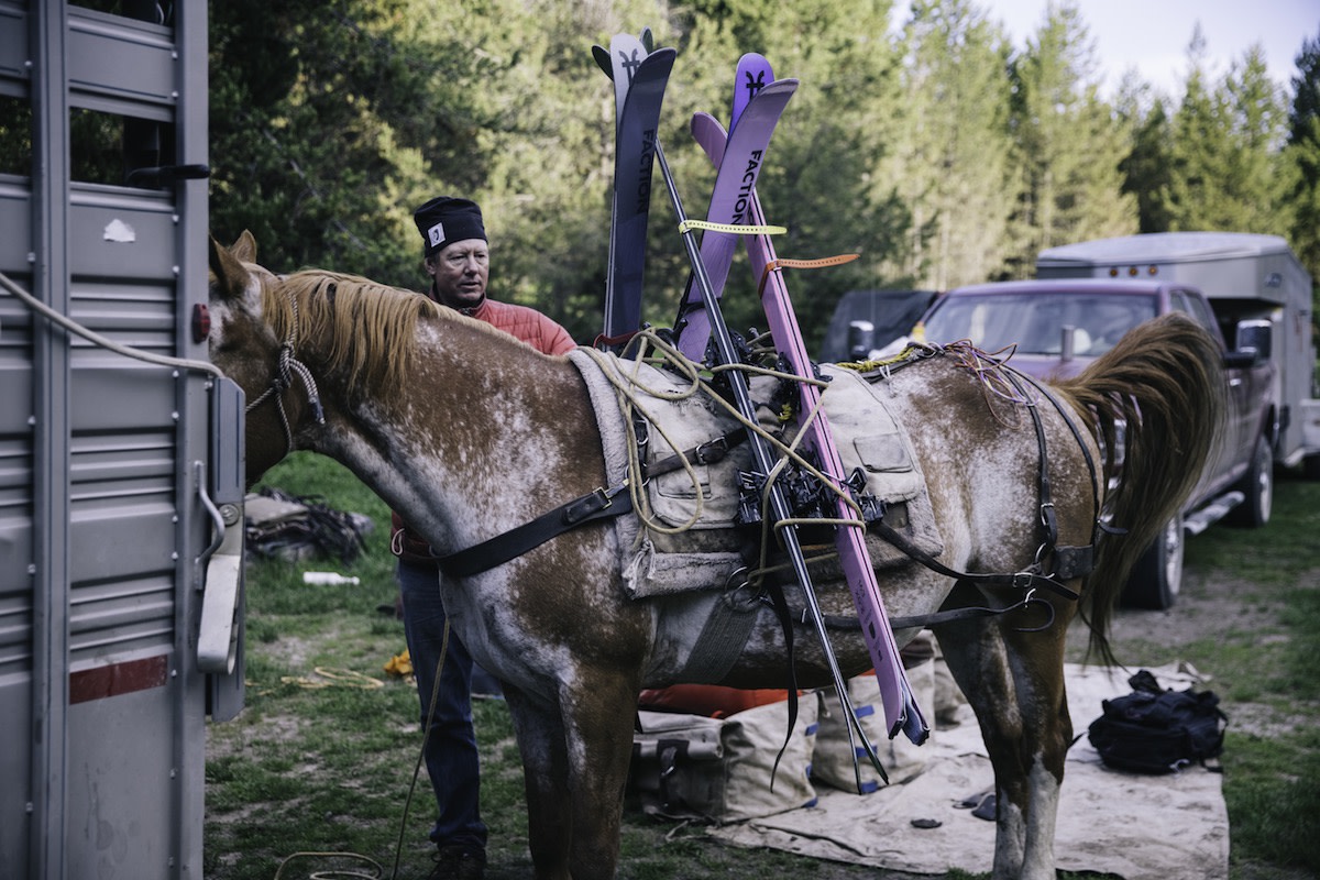 horse packing