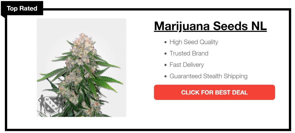 Best Seeds Banks That Ship Marijuana Seeds Legally | Men's Journal