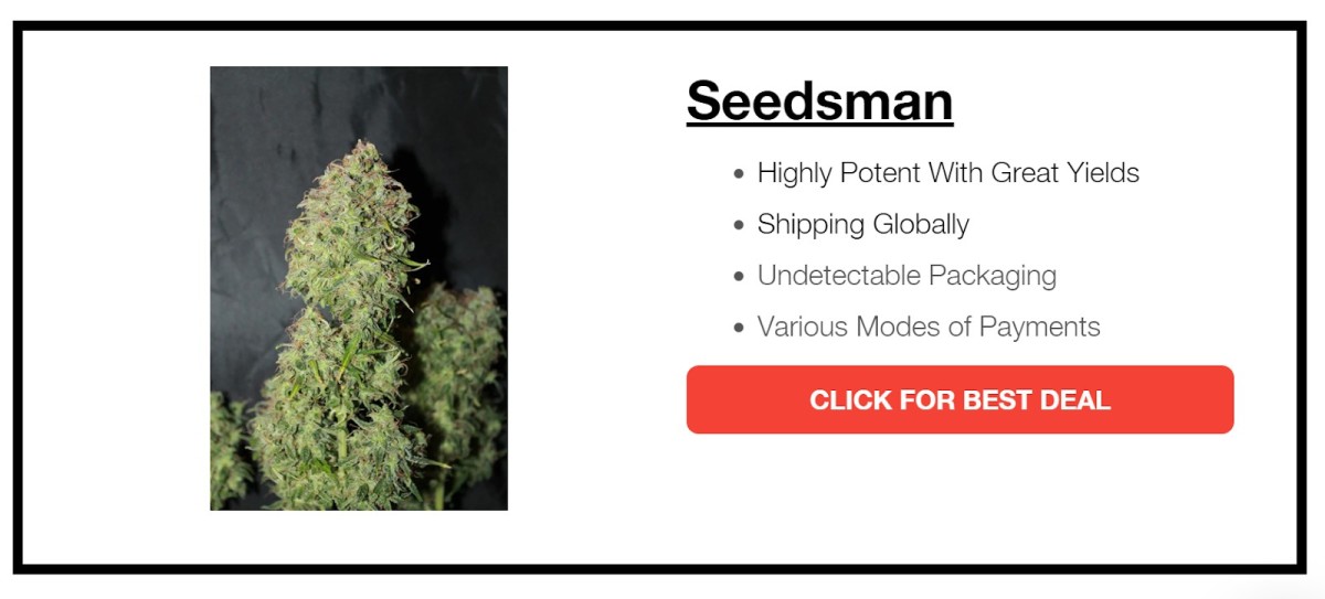 marijuana seeds