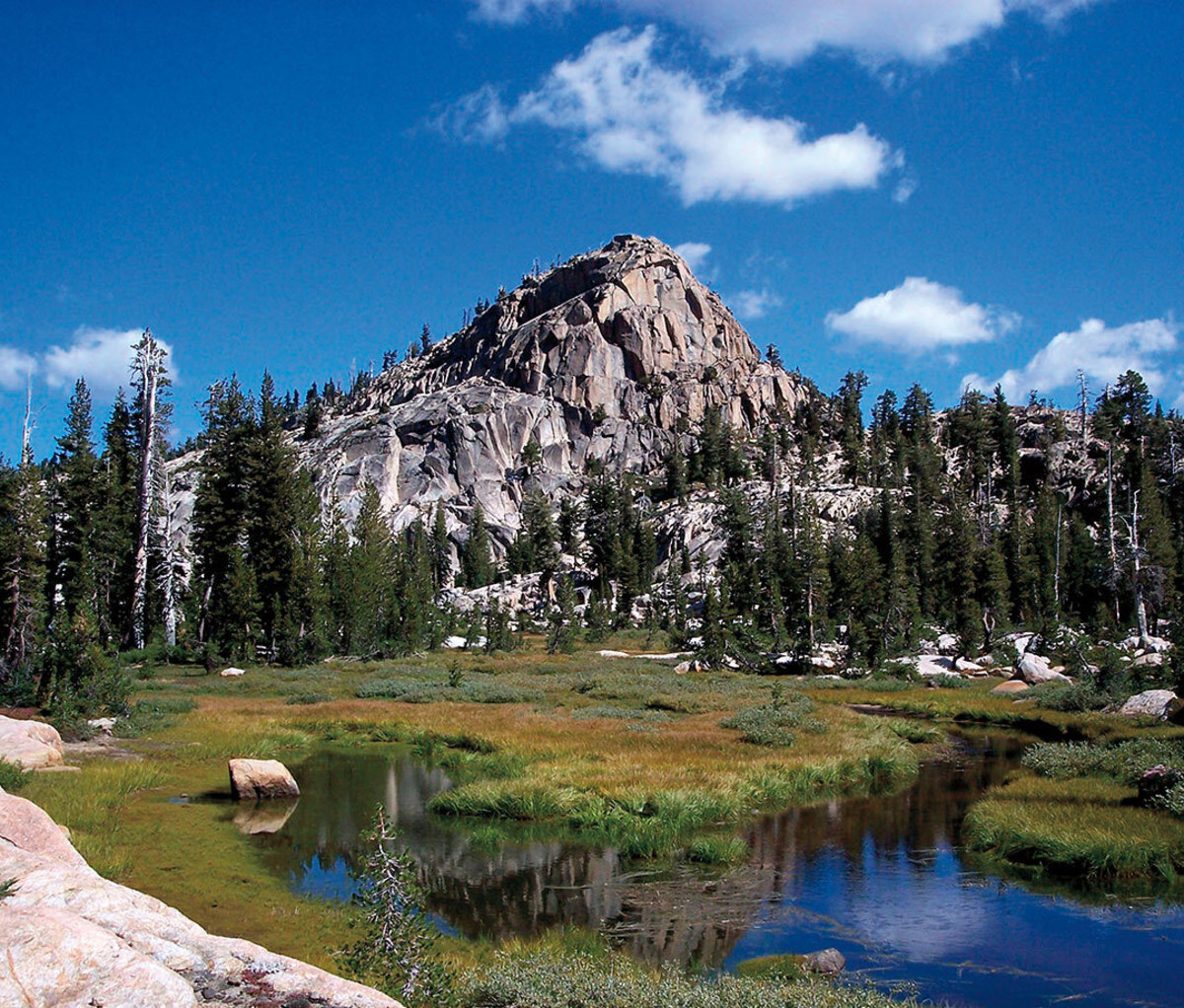 Mountainous rock with evergreen trees and river runoff