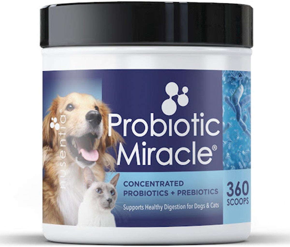 whats the best probiotic for dogs