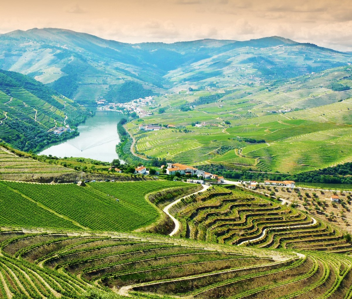 Vineyards in Douro Valley, Portugal, Portuguese port wine