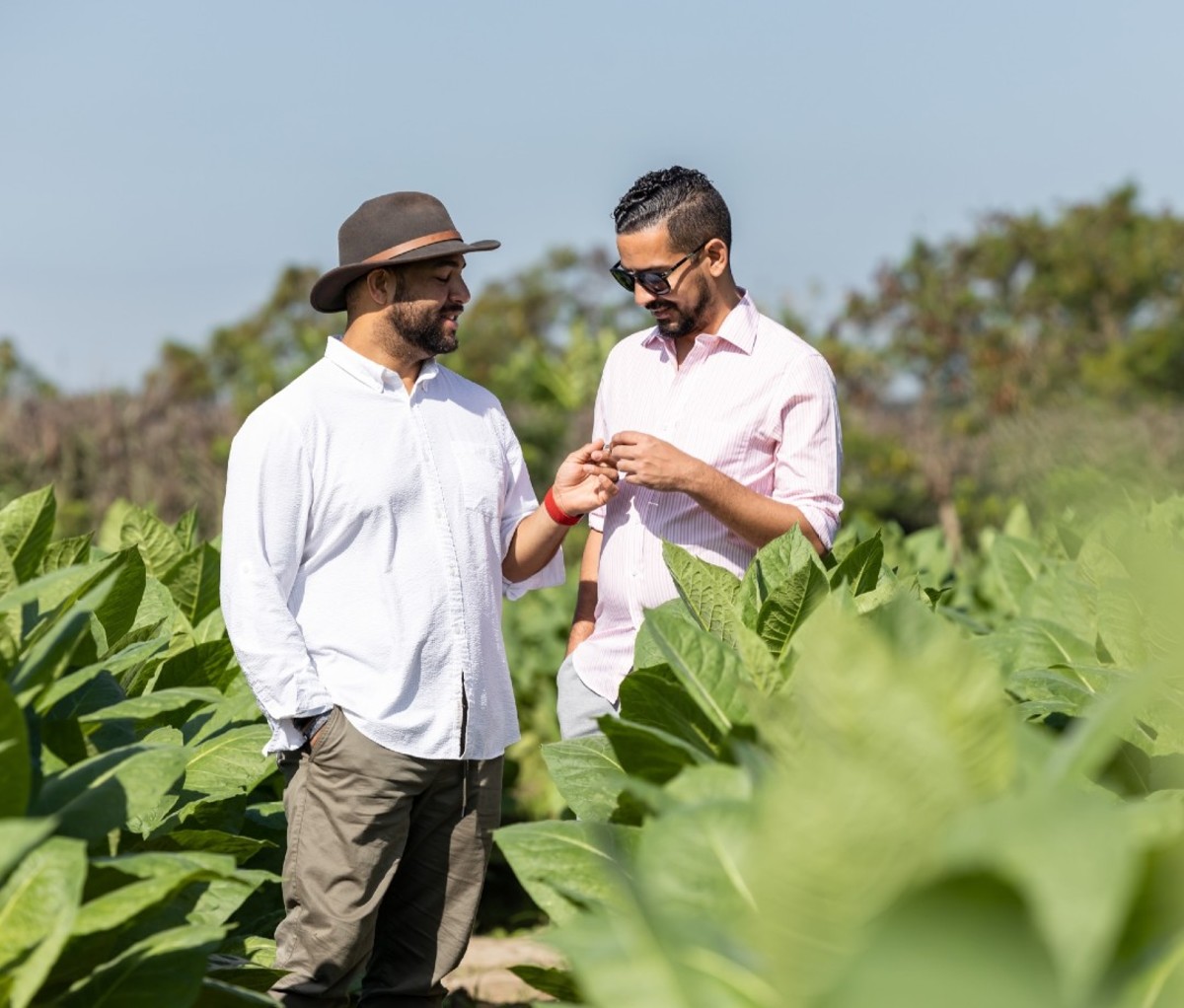 Two men standing in field passing cigar