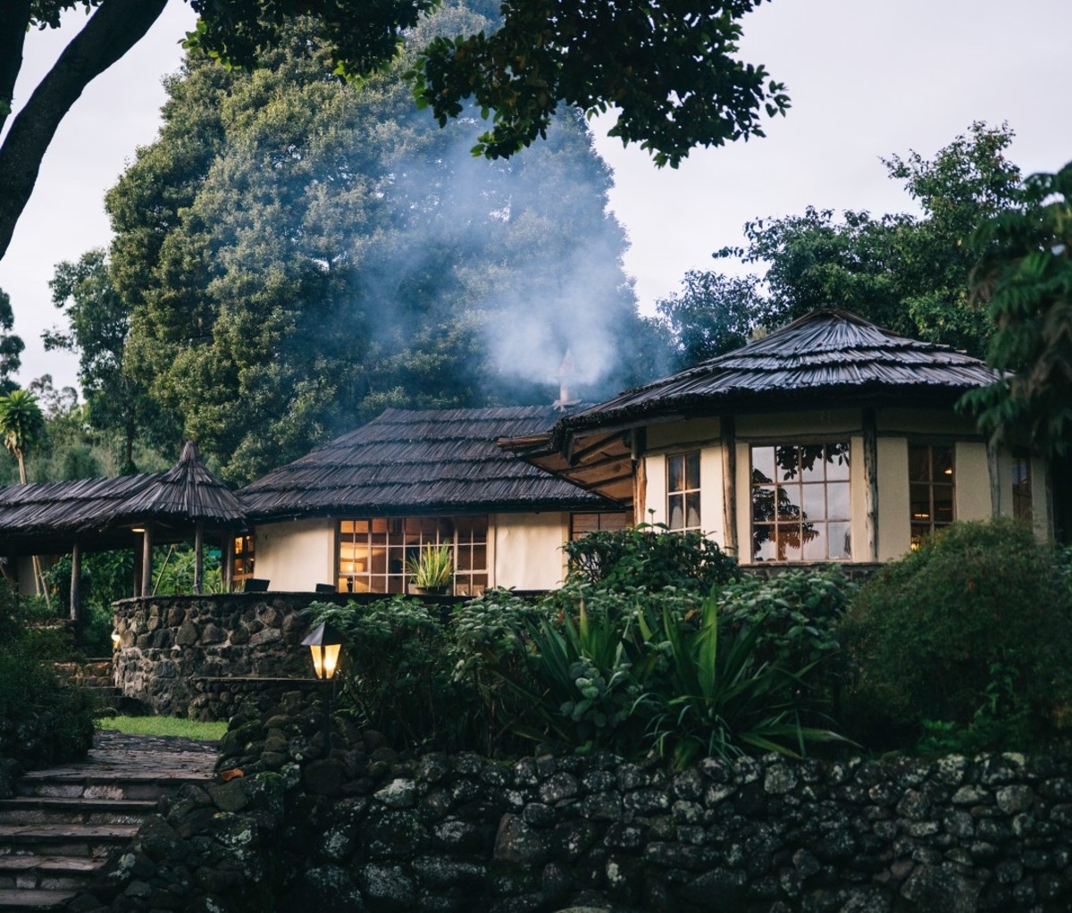 Lodge in rain forest