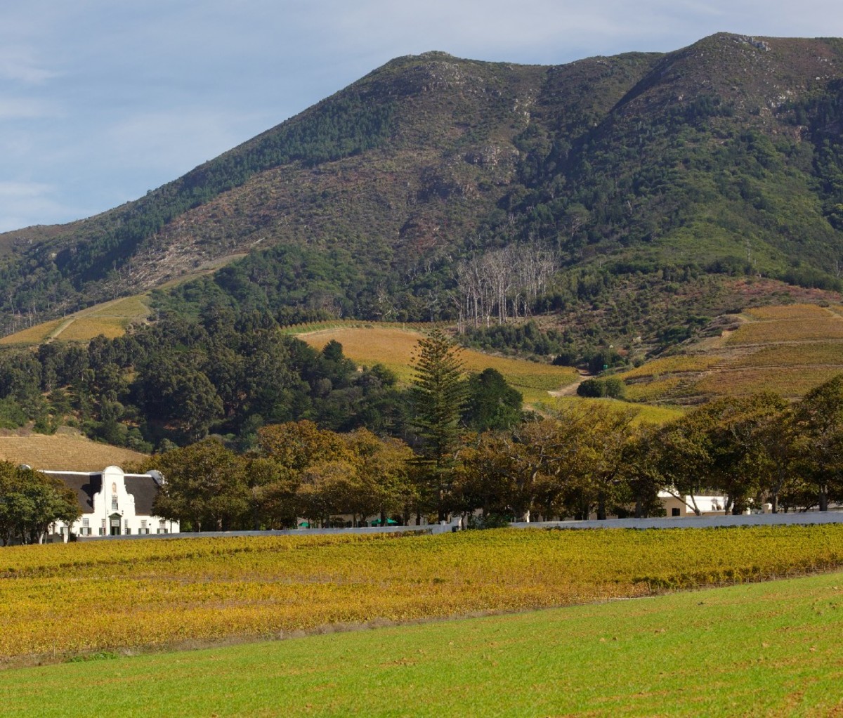 Groot Constantia property, one of South Africa's foremost historical monuments.
