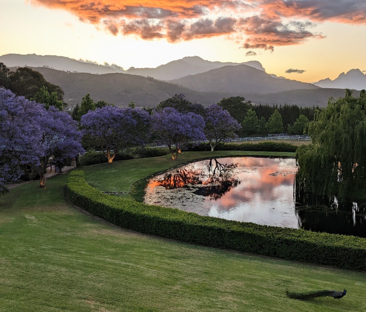 Sweeping grounds of Franschhoek's La Residence