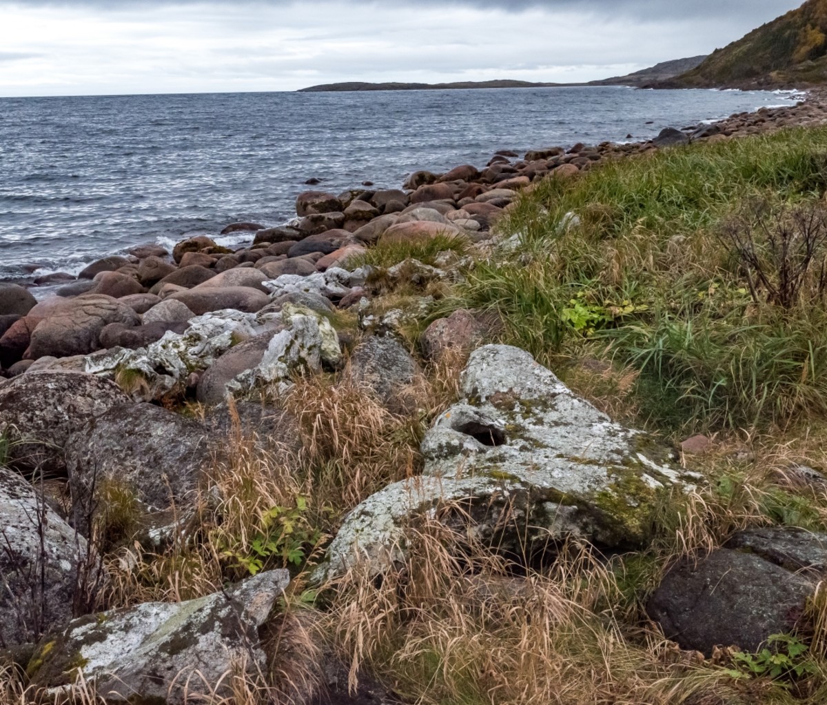 View of a rocky shoreline with old whale bones. Trans-Labrador Highway