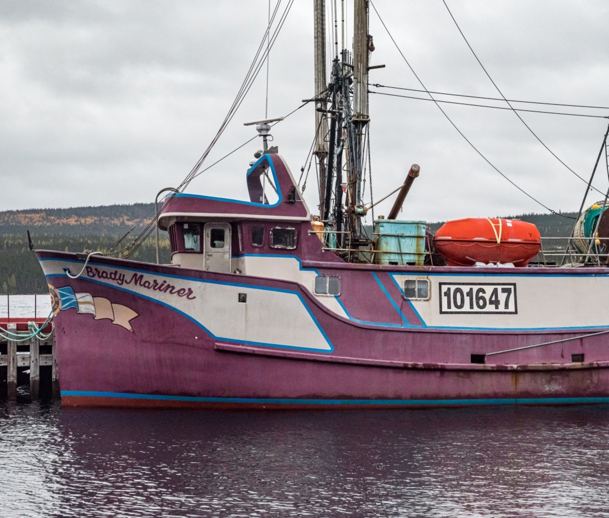 A purple and white fishing boat at a dock. Trans-Labrador Highway