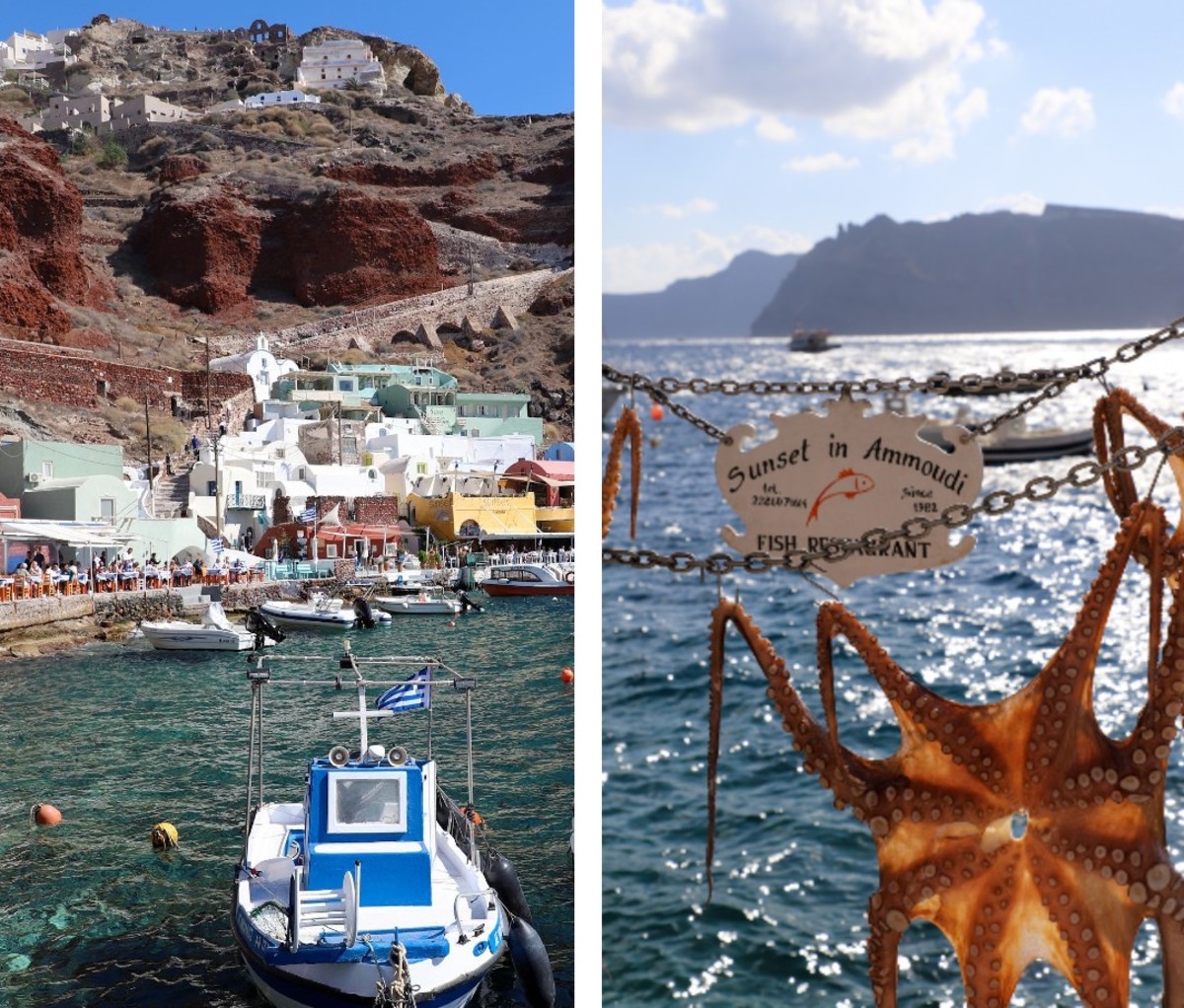 Grecian fishing port with octopus drying in sun