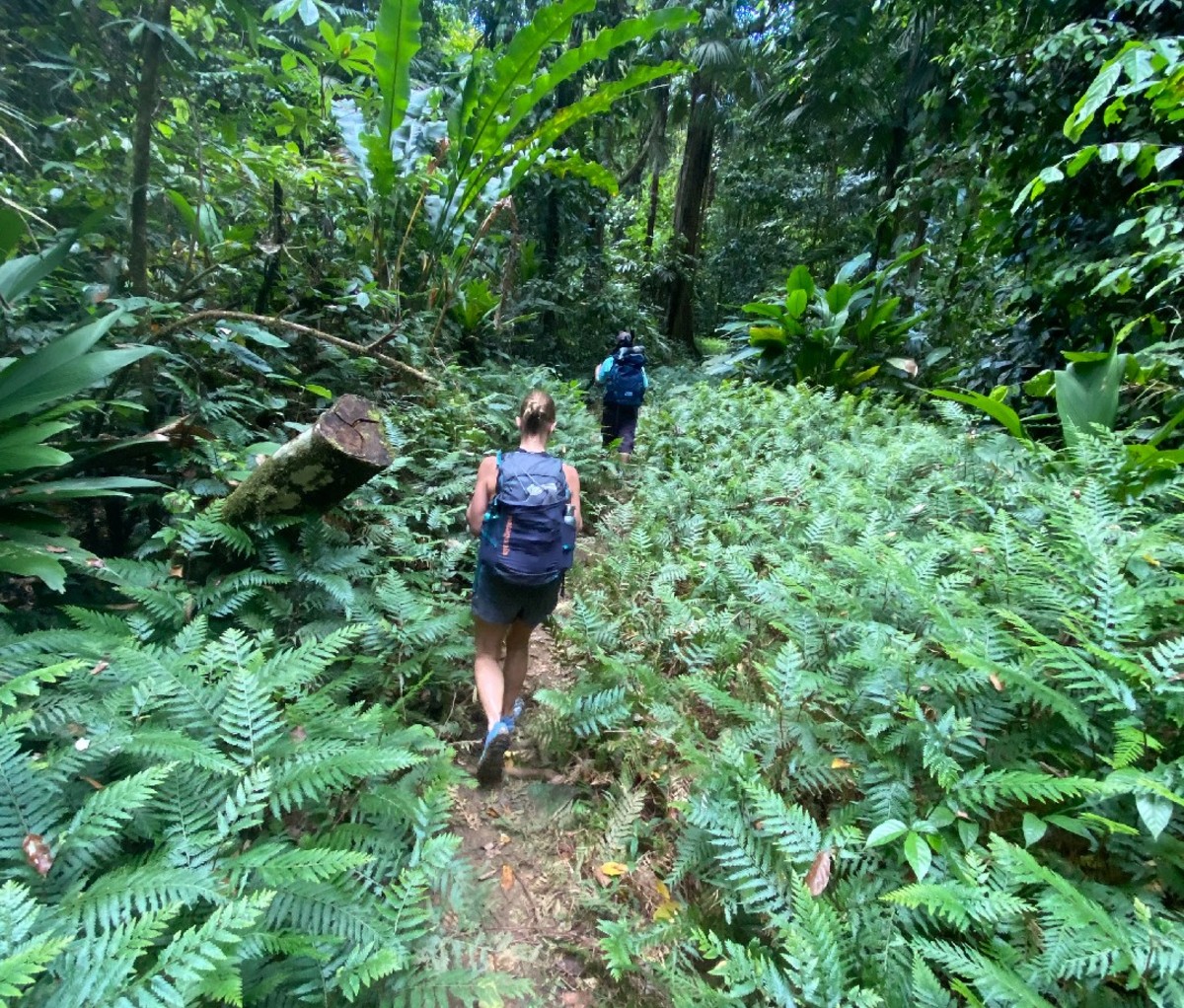 Two hikers on a lush trail in Corcovado National Park.