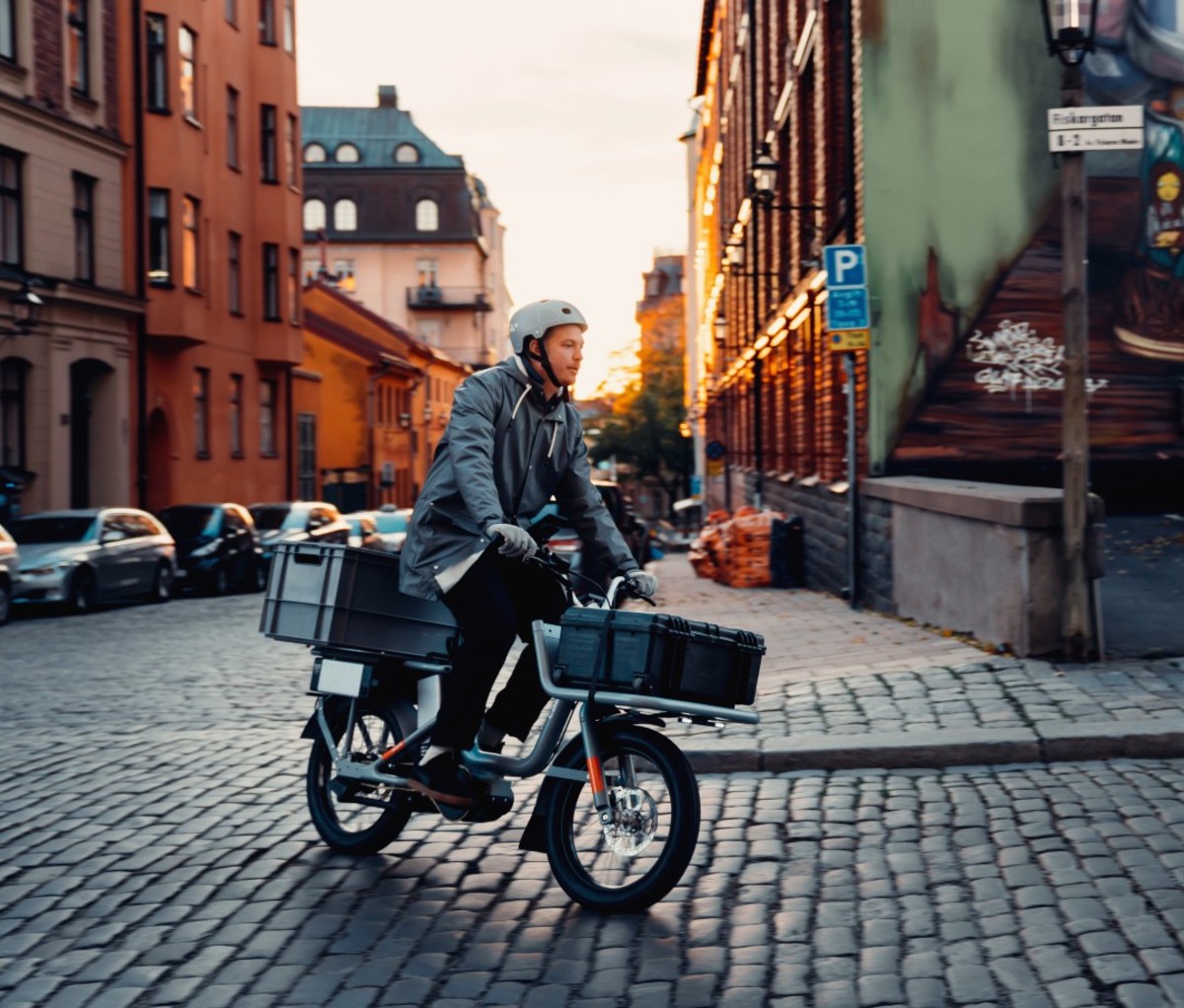 Electric cargo bike