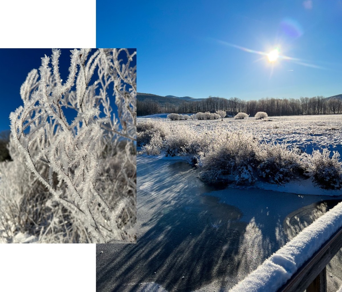 Snowy nature area covered in ice