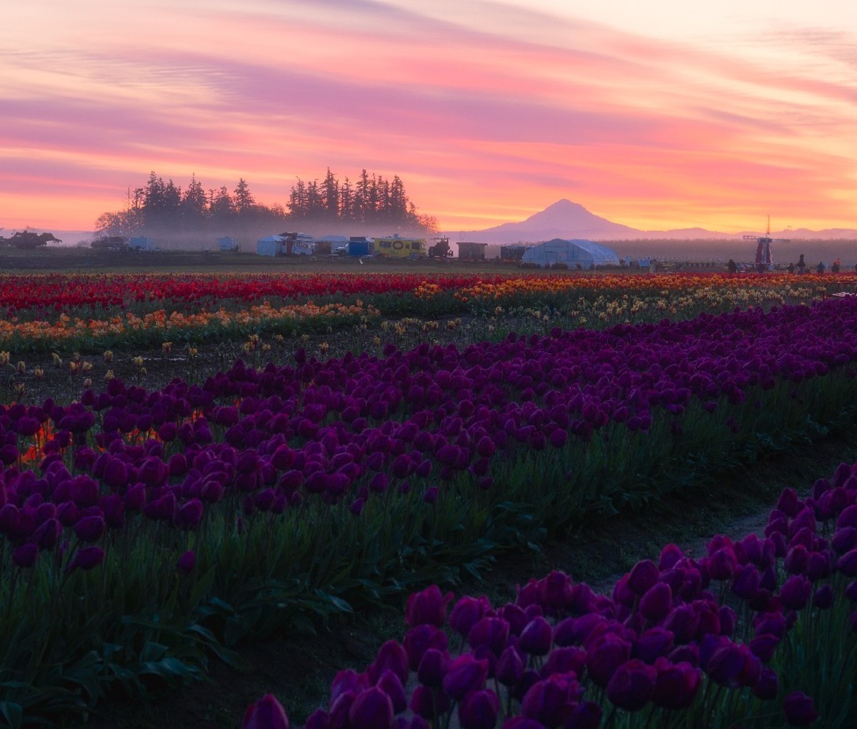 Woodburn, OR, at sunset with Mount Hood in the background.