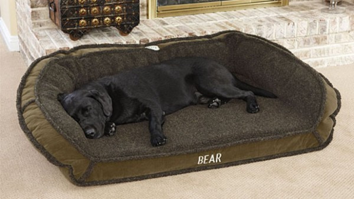 5 Durable Dog Beds for Man's Best Friend from LL Bean, Orvis, Filson